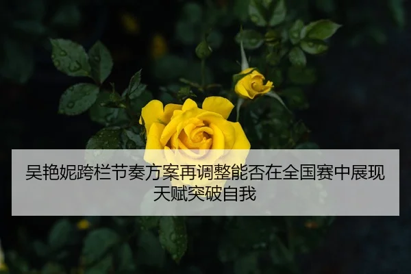 吴艳妮跨栏节奏方案再调整能否在全国赛中展现天赋突破自我