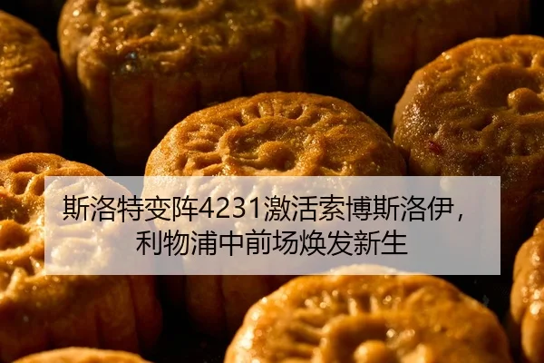 si-luo-te-bian-zhen-ji-huo-suo-bo-si-luo-yi-li-wu-pu-zhong-qian-chang-huan-fa-xin-sheng-3-400.jpg
